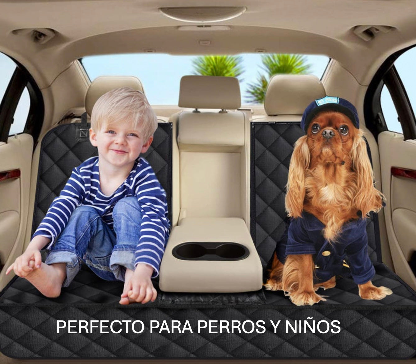 Pawseat